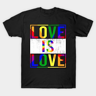 Love Is Love Pride Month Lgbt Straight Or Love Is Love Pride T-Shirt